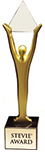 CSG website wins 2014 Gold Stevie Award